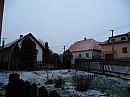 Třibřichy